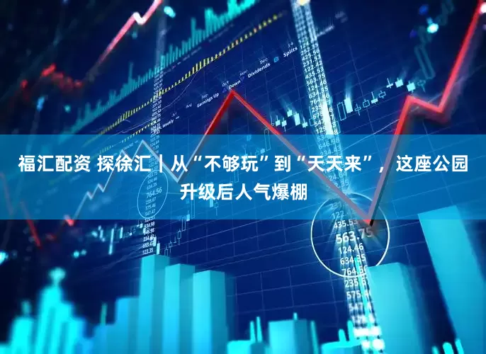 福汇配资 探徐汇｜从“不够玩”到“天天来”，这座公园升级后人气爆棚